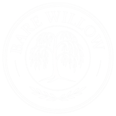 Bare Willow